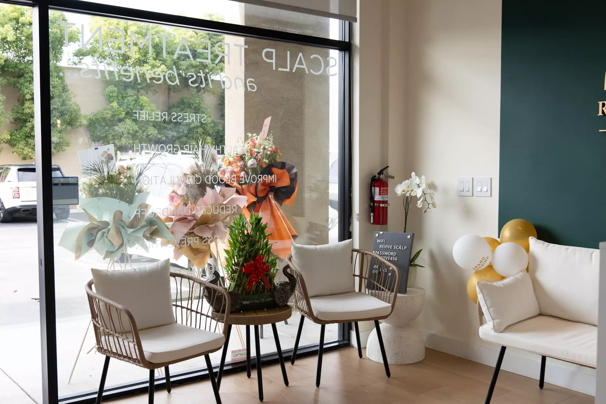 Indulge in a 60-minute head massage or 90-minute scalp treatment at Revive scalp lounge(Up To 38% Off) - Primary Image