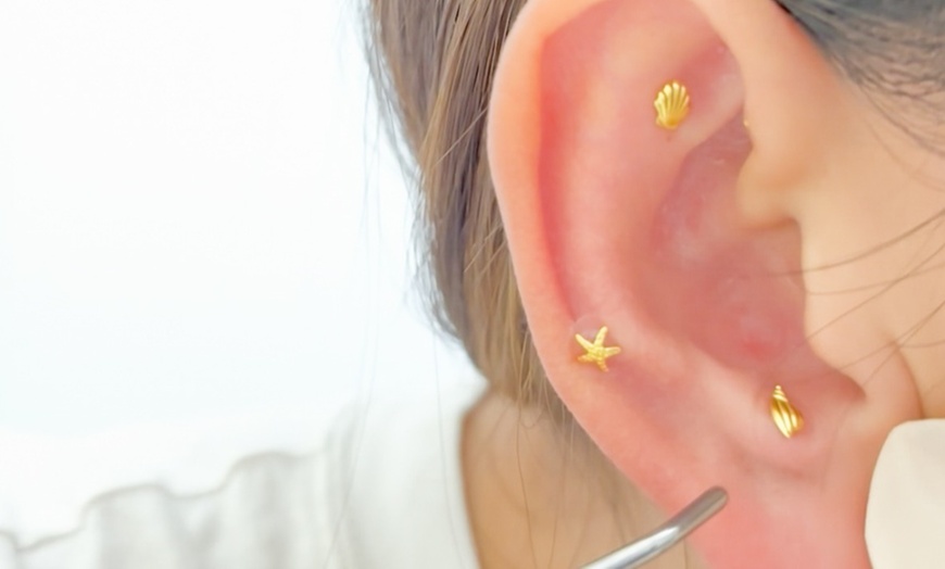 Image 2: 1 or 4 Sessions of Jewelry Ear Seeding with 24k Gold or Silver Pellets