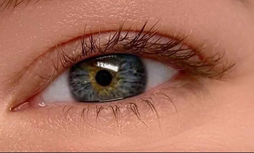 Image 4: Brow Lamination or Lash Lifting/Korean Lift