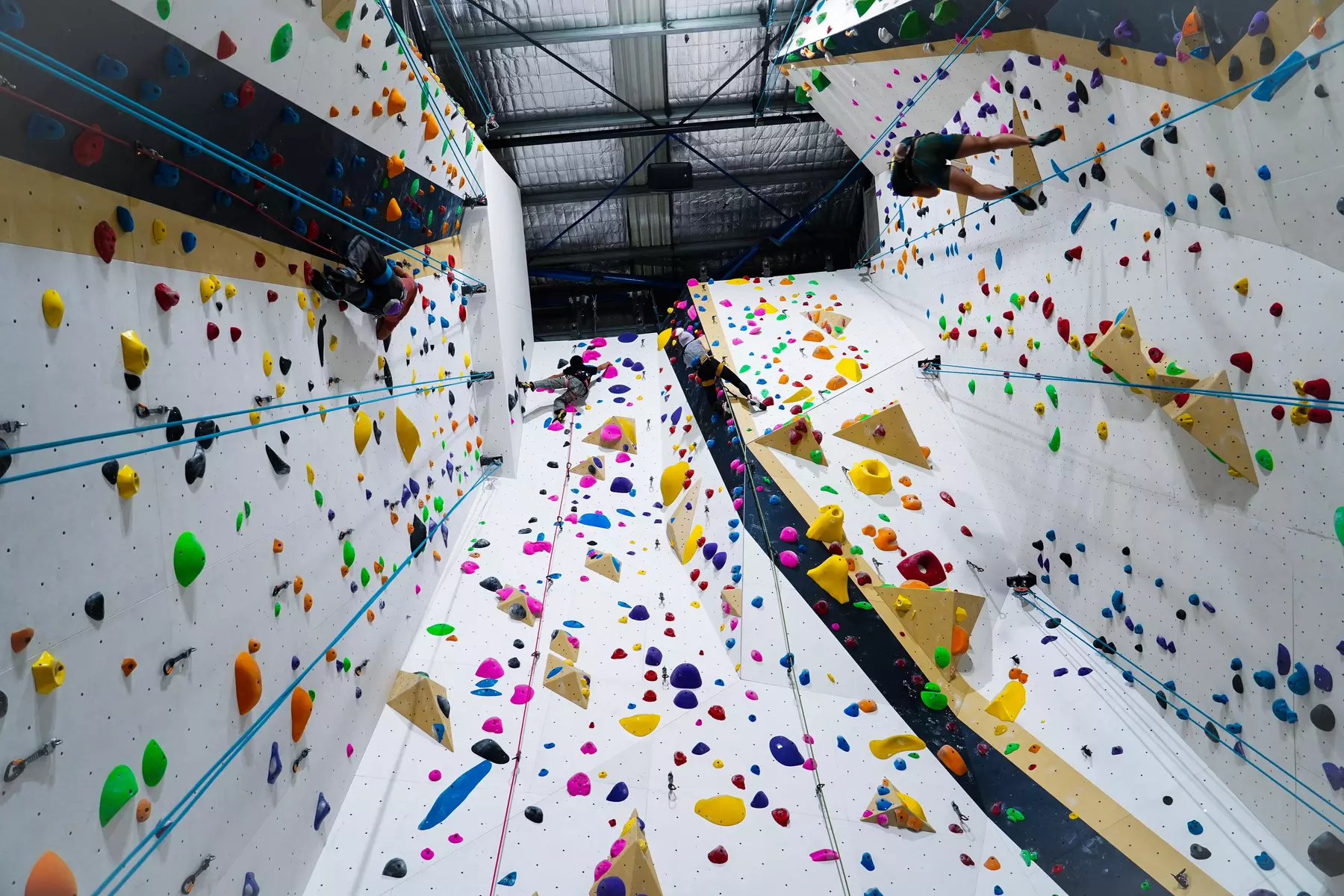 Day Pass w/ Harness & Shoes for 12 Y/O & Below, 13-17 Y/O or 18+