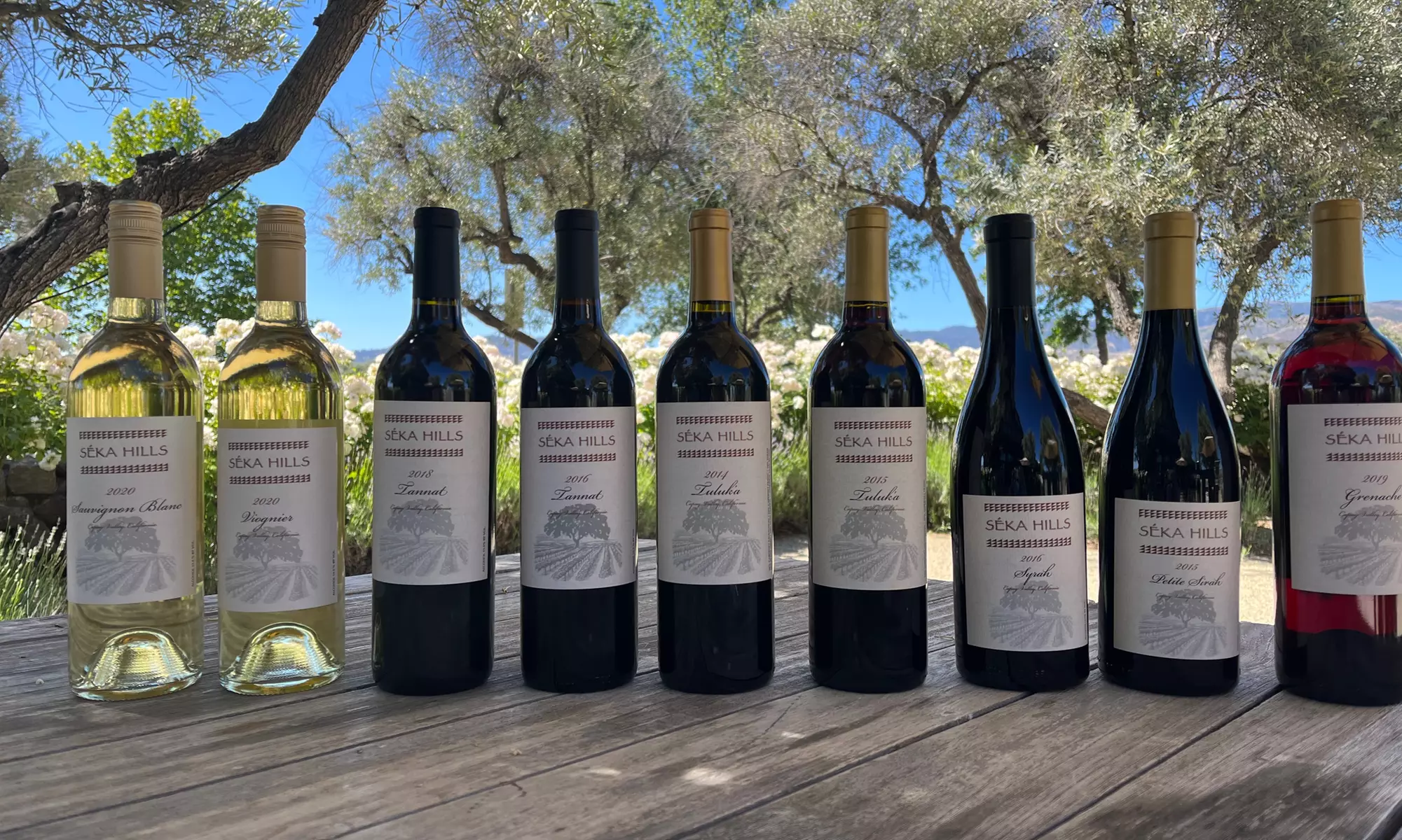 Discover S ka Hills Olive Mill and Winery's wine tasting, olive oil tours, and more with up to 23% savings in Capay Valley - Second Medium