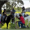 Image 11: Beginner Cowboy/Cowgirl Experience for Groups