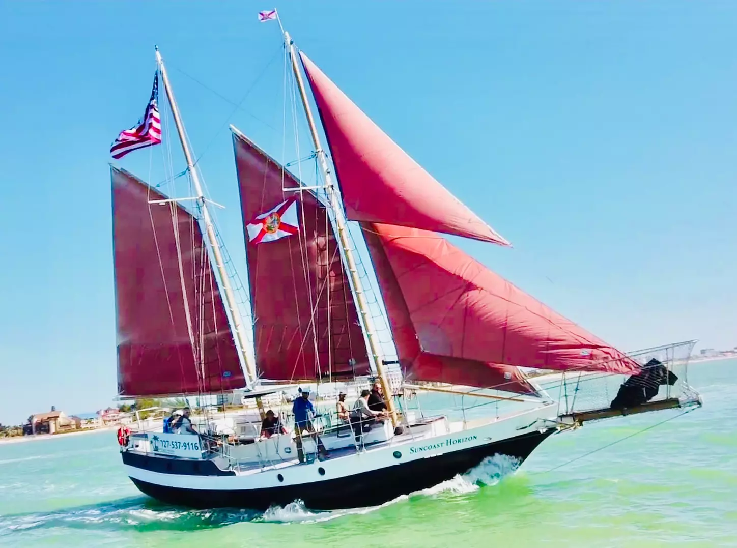 Up to 12% Off on Dolphin Watching at Suncoast Sailing - Primary Image