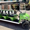 Image 2: Explore Iconic Landmarks with Stretch Limo Golf Cart Tour