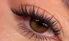 Up to 60% Off on Eyelash Extensions at Lavish Lashes Club