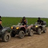Image 6: Miami Parasailing & ATV Adventure Combo