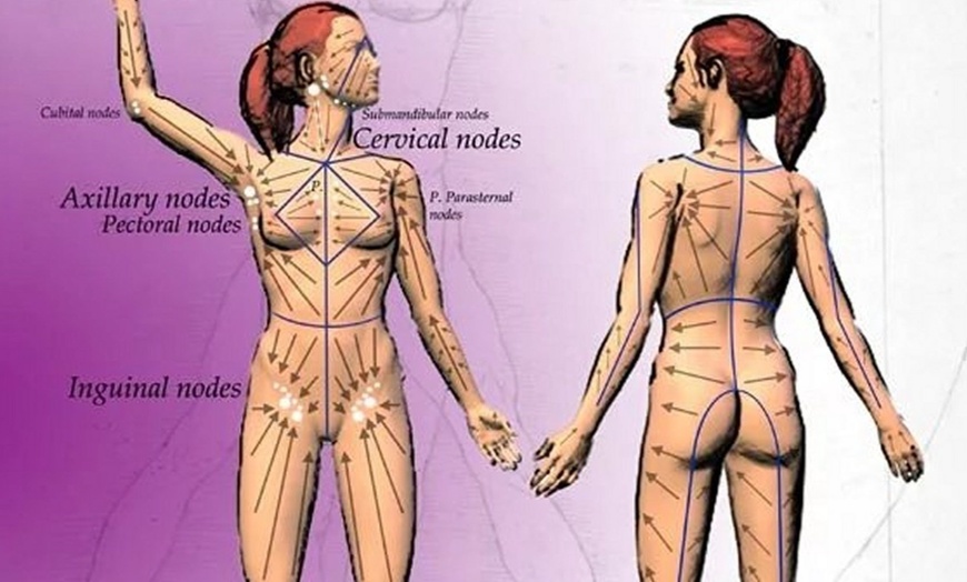 Image 3: Up to 66% Off on Lymphatic Drainage Massage at Lily & Rose Spa