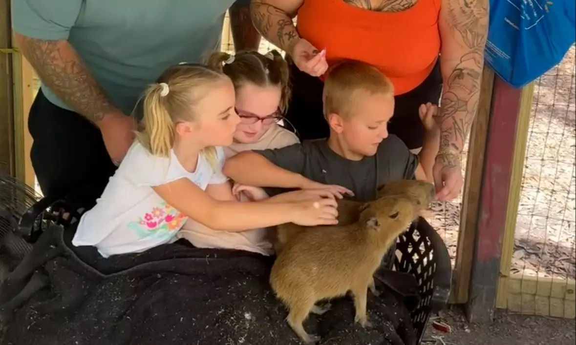 Pinellas Medieval Faire: Live Entertainment & Animal Encounters