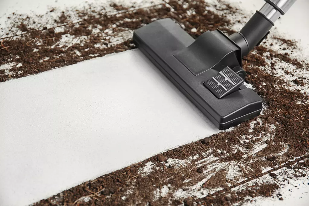 Up to 73% Off on Carpet Cleaning at Carpet & Air Solutions - Primary Image