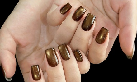 Example: One Deluxe Manicure with Cateye Design and Hard Gel - Shelly Beauty Studio