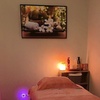 Image 5: Therapeutic Body Massages with Essential Oil & Hot Stone Treatment