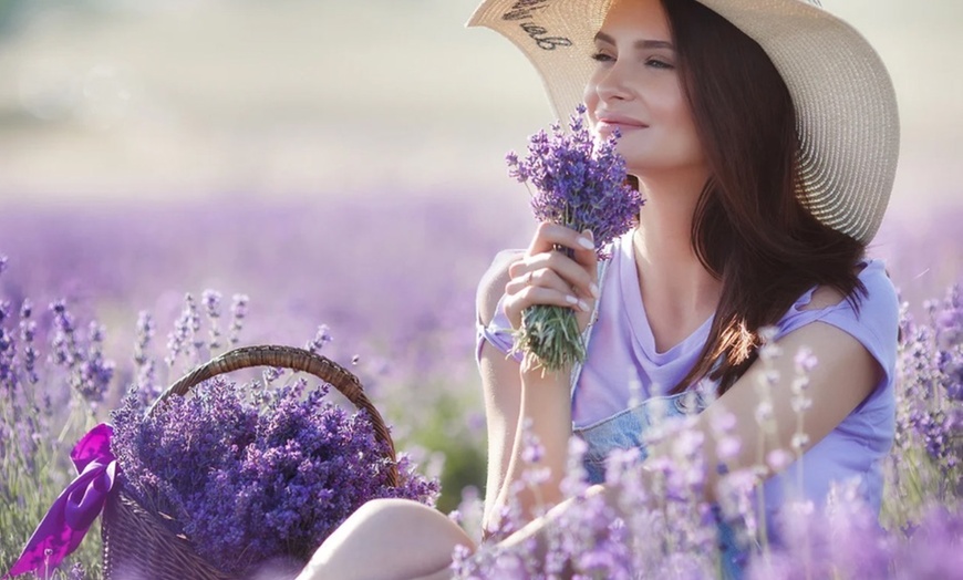 Image 2: The Menopause Makeover: Your guide to manage weight, sleep better, improve your health and more! (Get 85% Off)