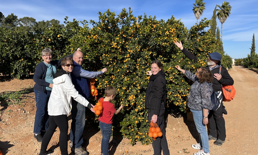 Image 11: Elabora tu propio vermut y visita un lugar emblemático para 1, 2 o 4 