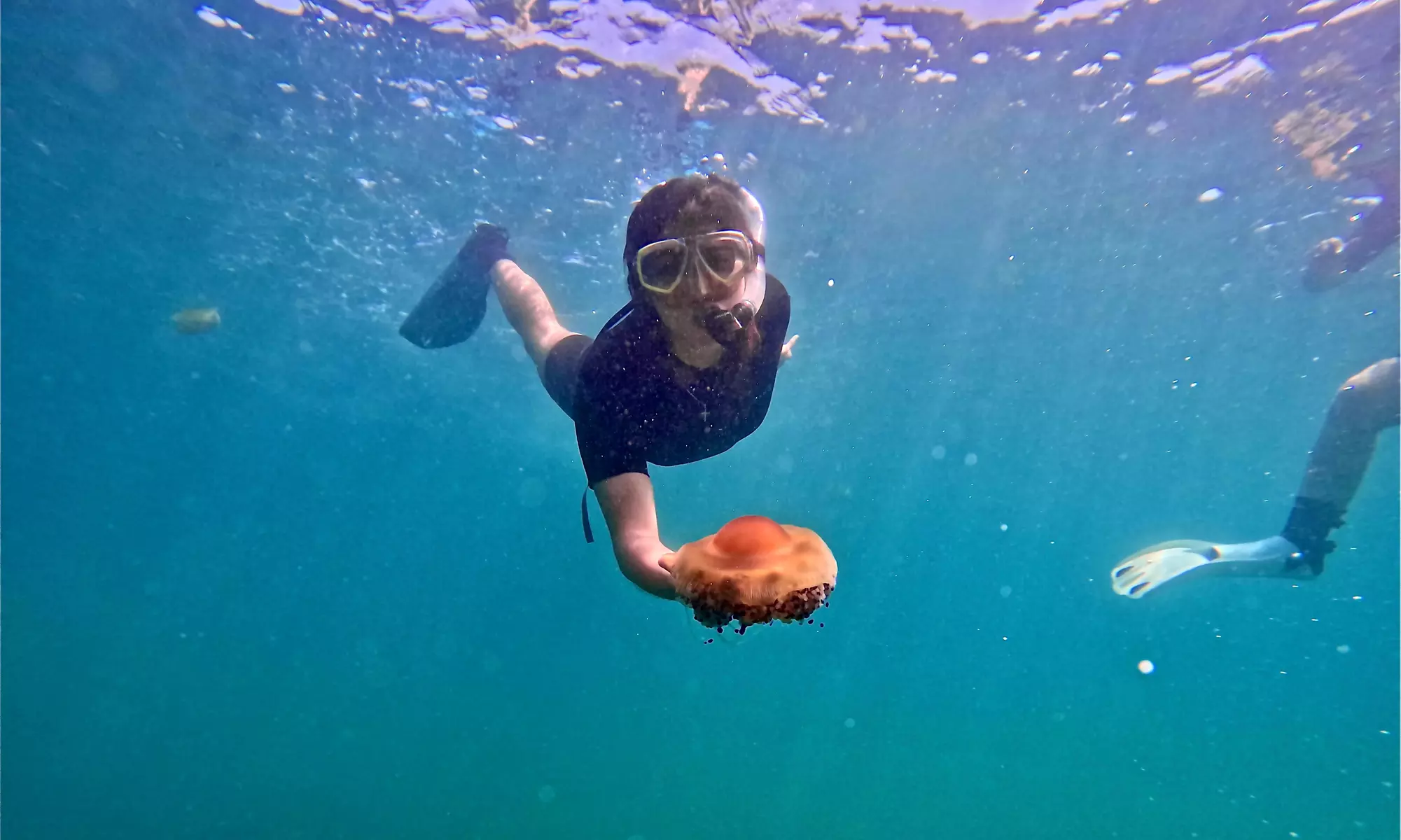 Experiencia de 2 horas de snorkel para 1 a 4 personas