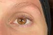 1 Lash Lift, 1 Tint & Lift, or 1 Full Set of Extensions – Flaunt Bold Lashes at Luxx Looks by Mira Sula Up To  37% Off - Second Medium