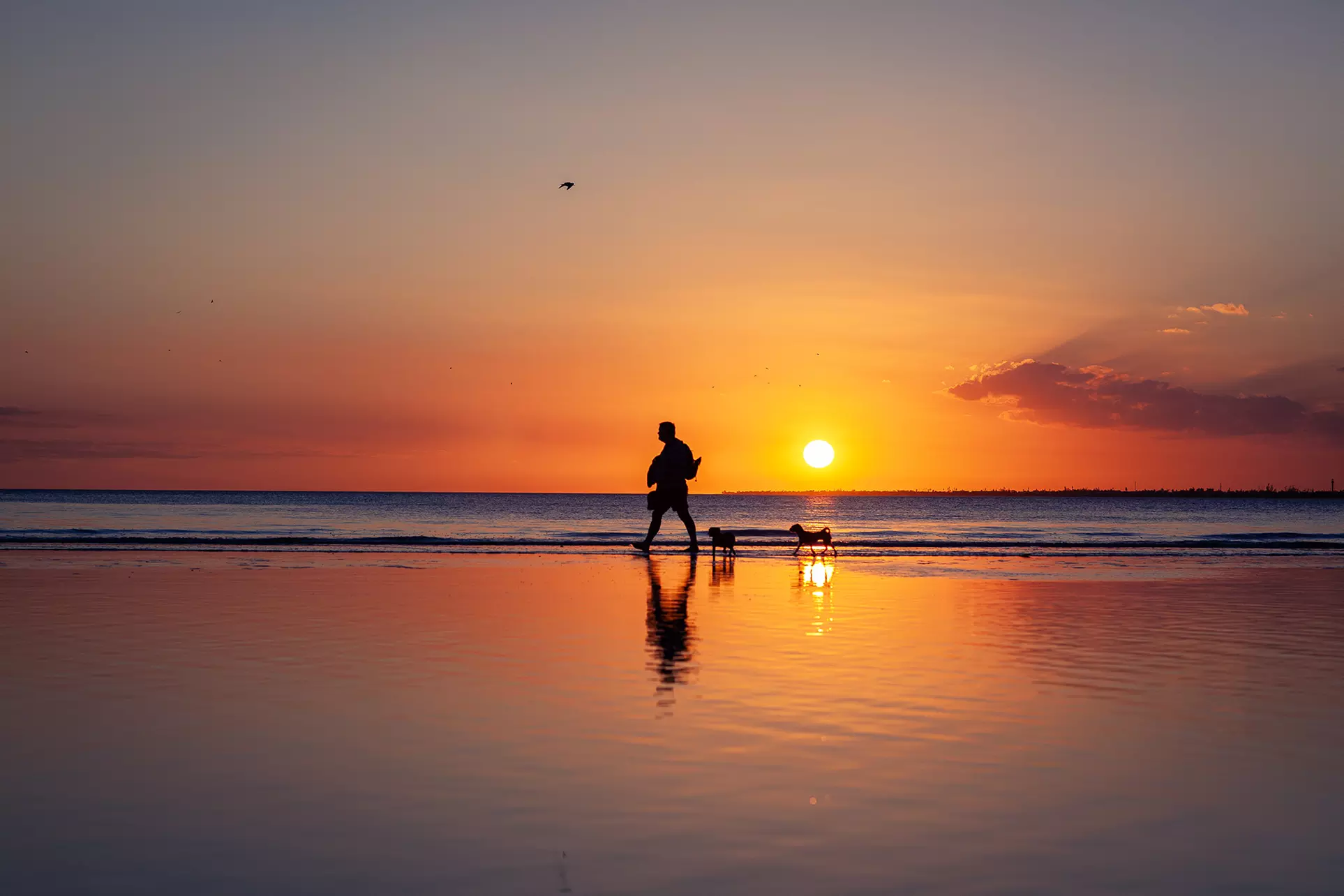 60-Minute / Two-Hour Outdoor Photography Session with Photo Package
