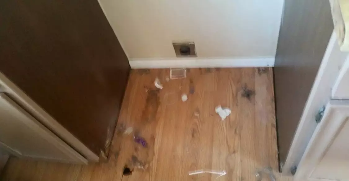 Transform Your Space: House Cleaning