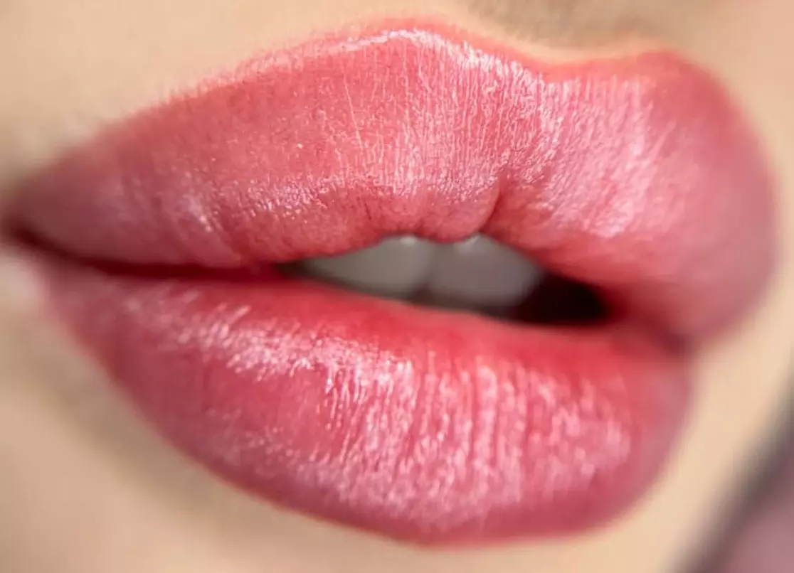 Micropigmentierung: Schattierung (Powder Brows oder Lippen) + Touch-Up