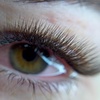 Image 12: Get a Full Set of Lash Extensions with Optional Eyebrow Shaping