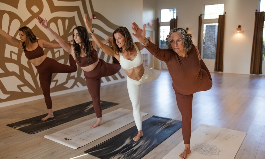Image 3: Experience One, Three or Five Yoga Classes with Infrared Heat