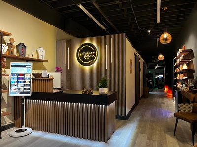 One (90) Minute Lymphatic Drainage Facial Massage with Reiki, Red Light and Chromotherapy - Vitality by Pam- Weight loss
