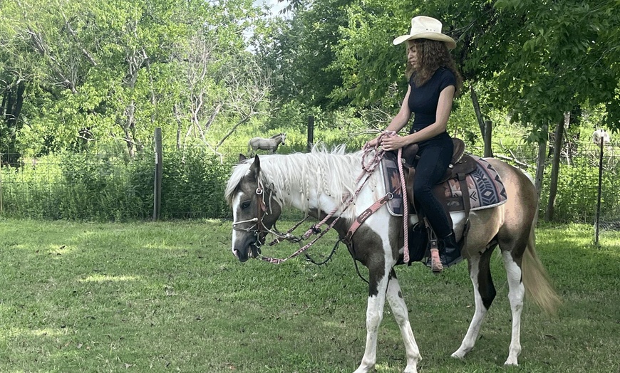 Image 2: Beginner Cowboy/Cowgirl Experience for Groups
