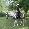 Image 2: Beginner Cowboy/Cowgirl Experience for Groups