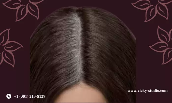 Up to 66% Off on Roots Touch Up Studio