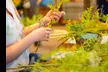 Learn the Art of Floral Design with Seasonal Flowers Arranging Class (Up to 60% Off) - Second Medium