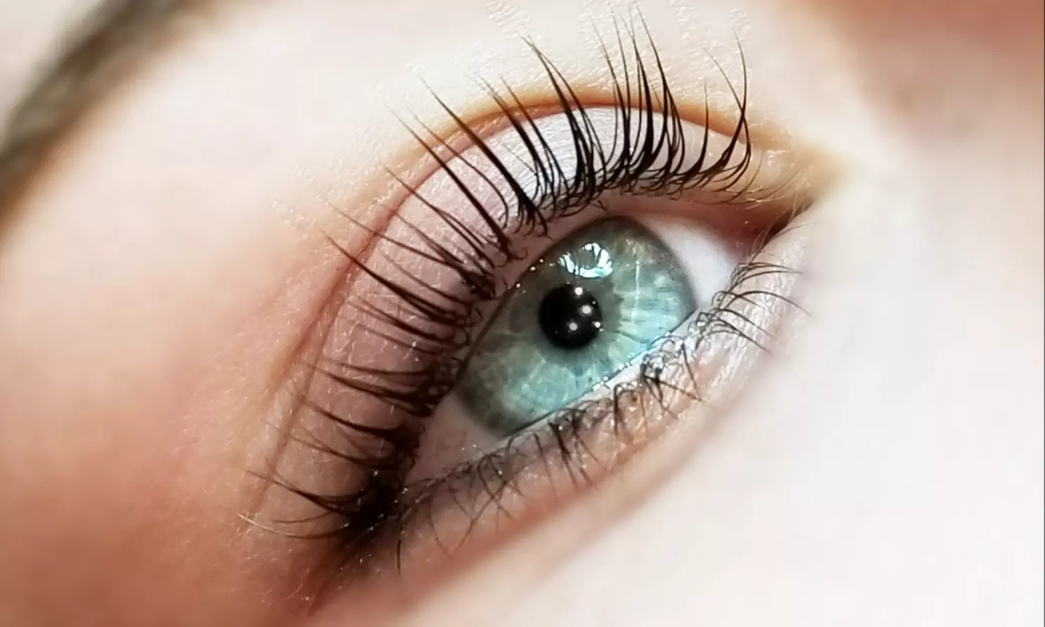Get Lash Lift and Tint with Free Facial Waxing