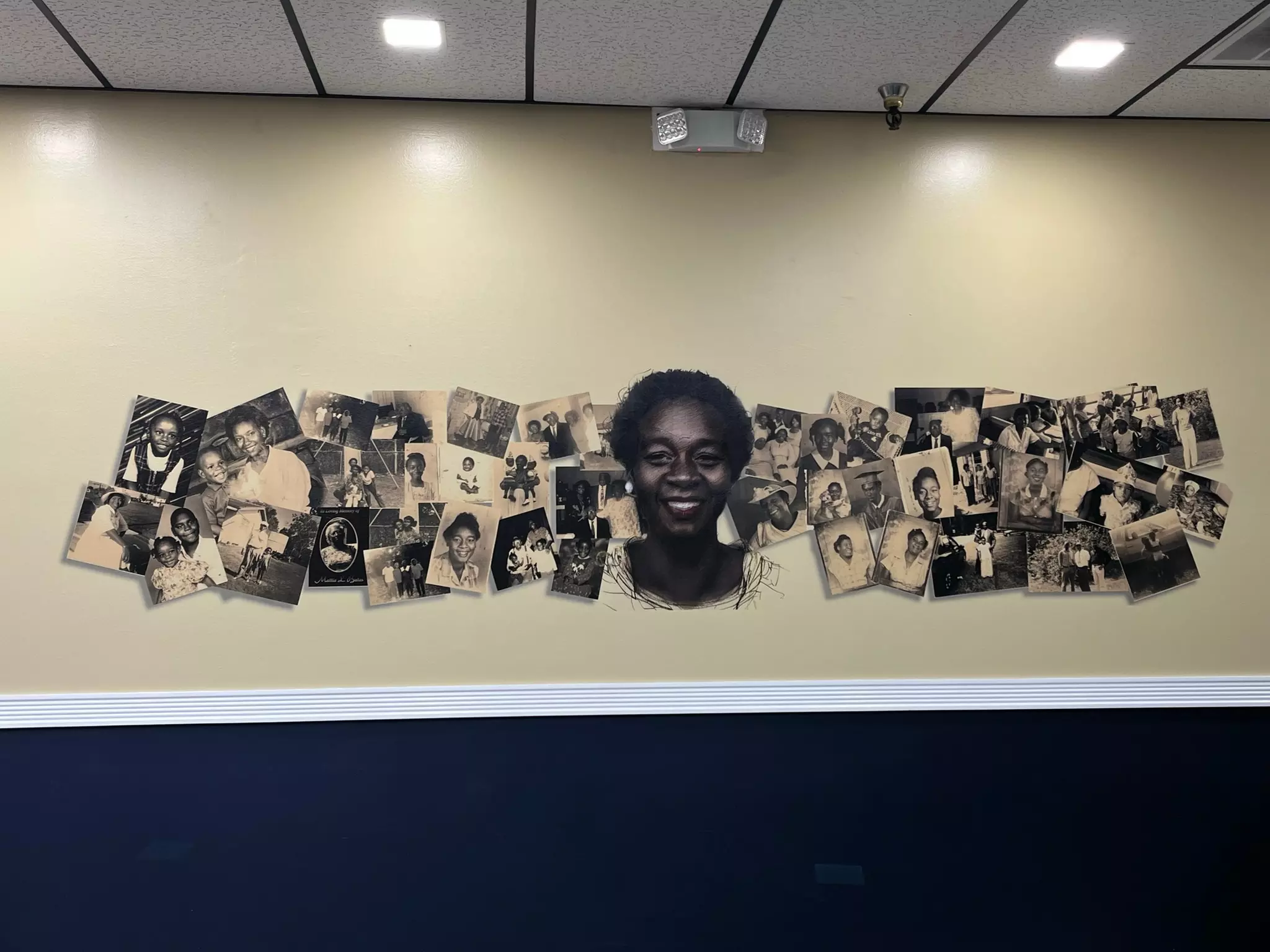 Interior Mural Installation with Vertical Wall Printer: 4’x3’ or 5’x6’