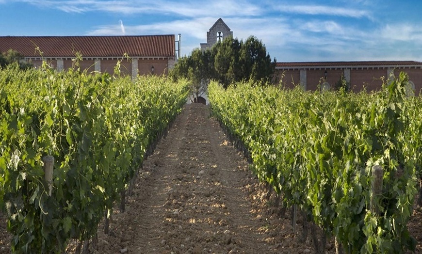 Image 7: Cata de 3 vinos, visita guiada y aperitivo en Bodegas Carramimbre
