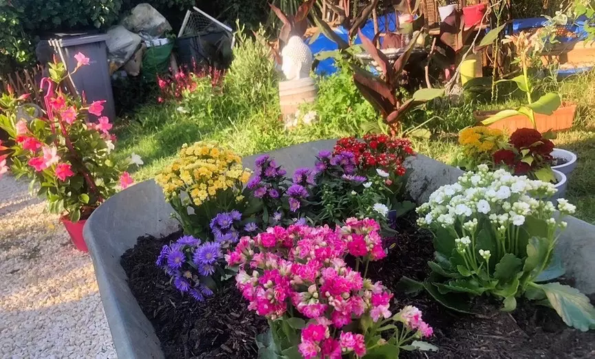 Jusqu'à 41% de remise sur Massage - Californien chez MassagAlex