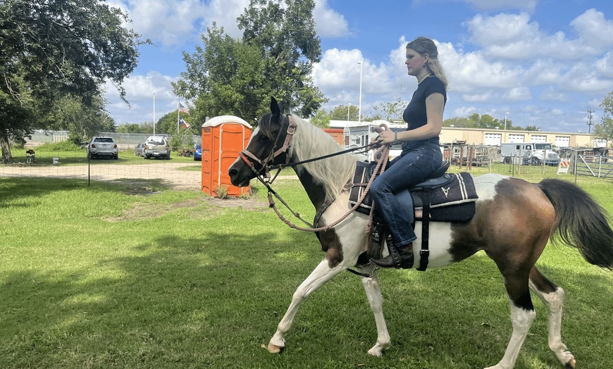 Image 3: Beginner Cowboy/Cowgirl Experience for Groups