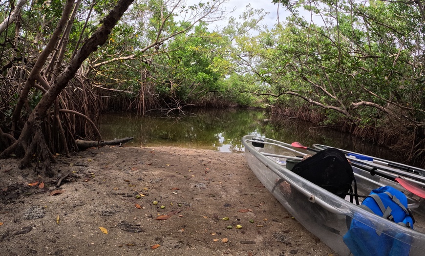Image 7: 2-Hour Kayak Eco Tour in Emerson Point Preserve - Palmetto, FL