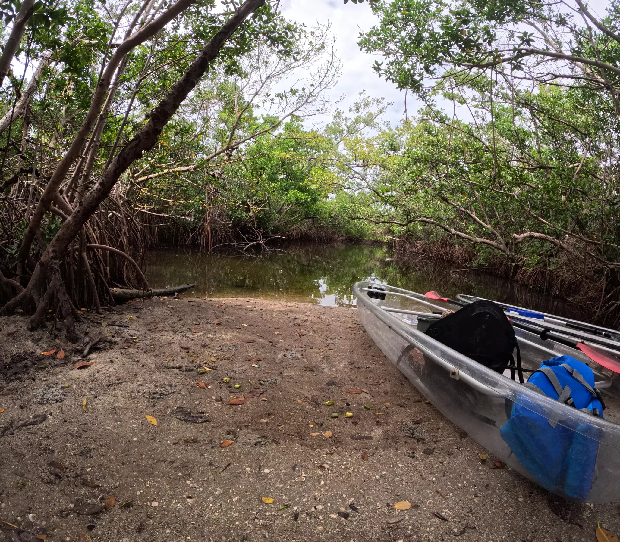 2-Hour Kayak Eco Tour in Emerson Point Preserve - Palmetto, FL