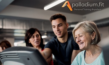The Golden Curls 90 Day Online Program - PALLADIUM FIT LLC