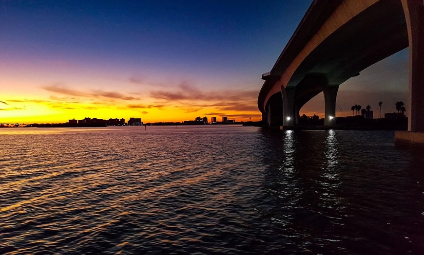 Image 2: 1-Hour and 45-Minute Dolphin Exploration Boat Tour in Clearwater, FL
