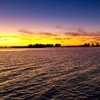 Image 2: 1-Hour and 45-Minute Dolphin Exploration Boat Tour in Clearwater, FL