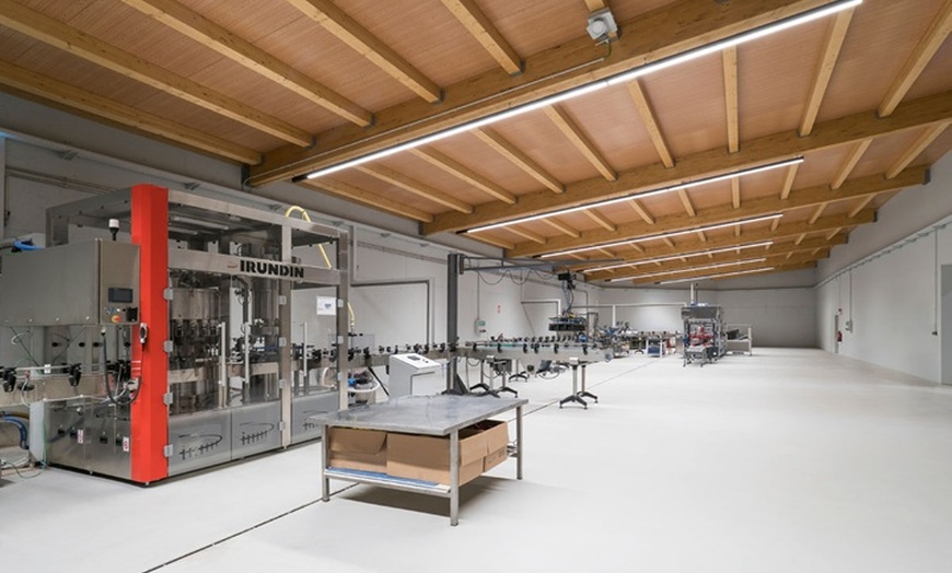 Image 4: Cata de 3 vinos, visita guiada y aperitivo en Bodegas Carramimbre