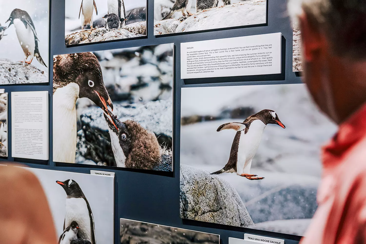 Hasta 5% de dto. en Salas - Exposiciones en CREATIVE ART & PHOTOGRAPHY EXHIBITION GROUP S.L.