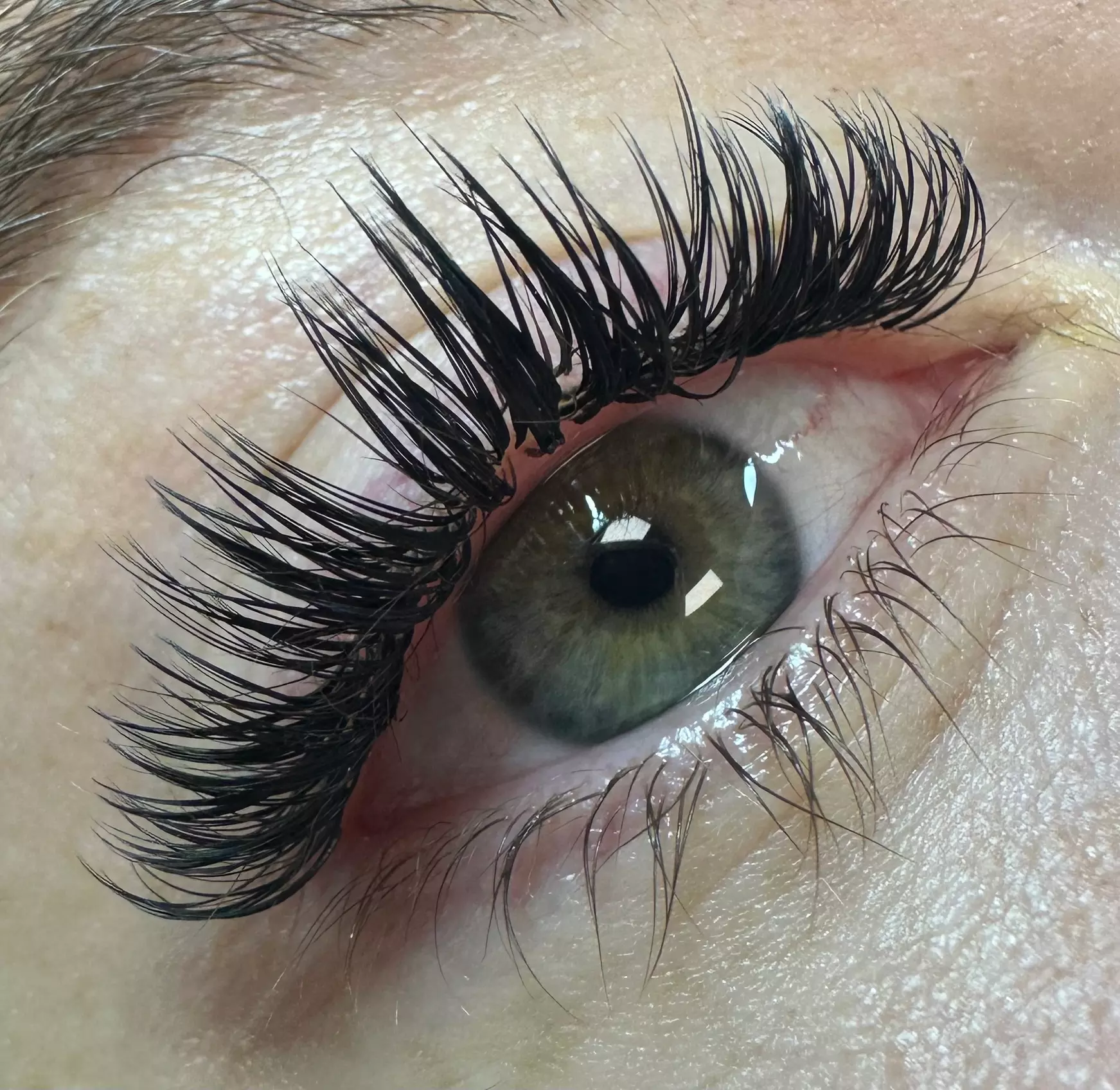 Up to 37% Off on Eyelash Extensions at EsthiNicole