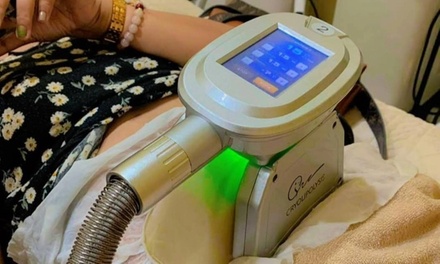 One Session of Fat Freezing - New me Beauty