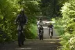 Escape to Redwoods: 2-Hr Private E-Bike Tour - Up to 4, 5 or 6 Riders from Wild trail Tours (Up to 20% Off) - Second Medium