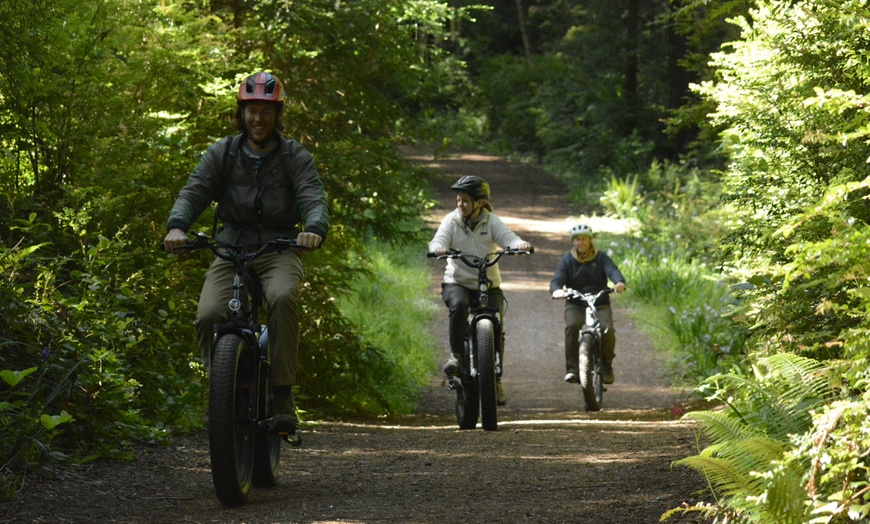 Image 5: Escape to Redwoods: 2-Hr Private E-Bike Tour - Up to 4, 5 or 6 Riders 