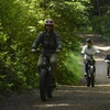 Image 5: Escape to Redwoods: 2-Hr Private E-Bike Tour - Up to 4, 5 or 6 Riders 