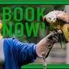 Image 4: Experience the Thrill: Two-Hour Birds of Prey Adventure for 1, 2, or 4