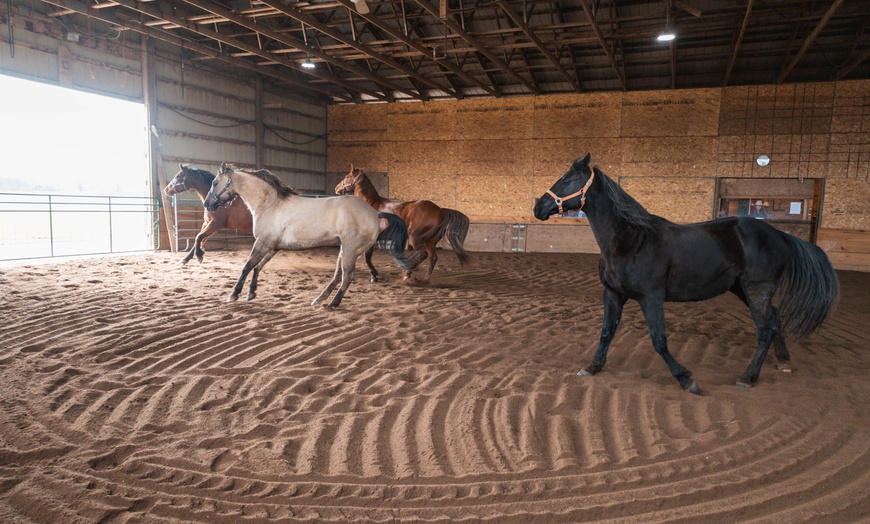 Image 2: Up to 45% Off on One Hour Farm Visit at Humberstone Ranch


