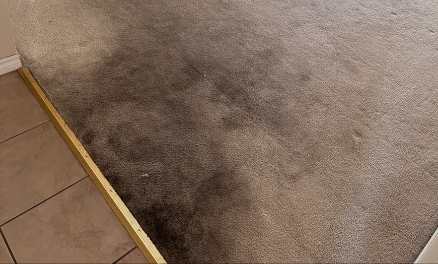 Image 1: Up to 33% Off on Carpet Cleaning at Clean Kings LLC