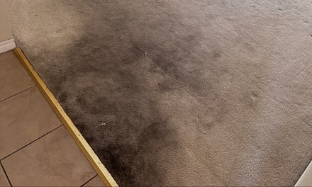 4 Bedrooms - Clean Kings 